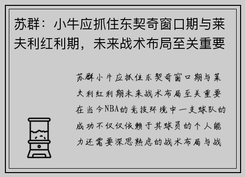 苏群：小牛应抓住东契奇窗口期与莱夫利红利期，未来战术布局至关重要