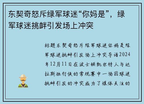 东契奇怒斥绿军球迷“你妈是”，绿军球迷挑衅引发场上冲突