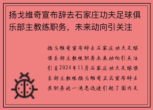 扬戈维奇宣布辞去石家庄功夫足球俱乐部主教练职务，未来动向引关注