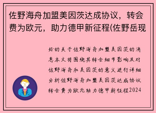 佐野海舟加盟美因茨达成协议，转会费为欧元，助力德甲新征程(佐野岳现状)
